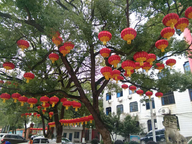 �����Շ�����