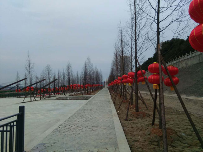 �����Շ�����2