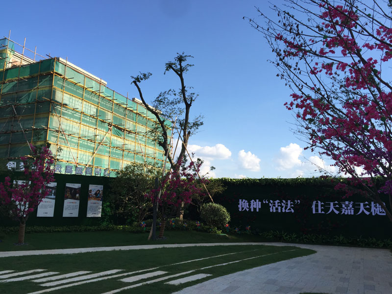 ���С�^����