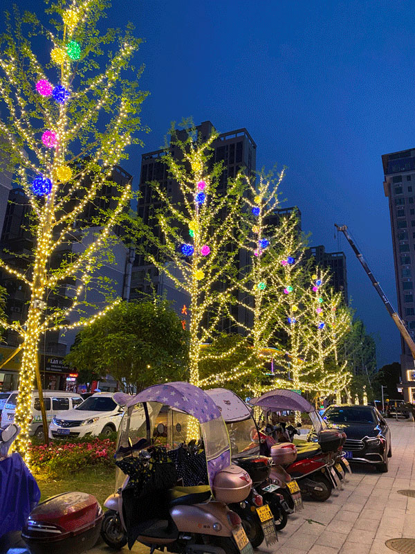 ���^(gu��n)��(sh��)����